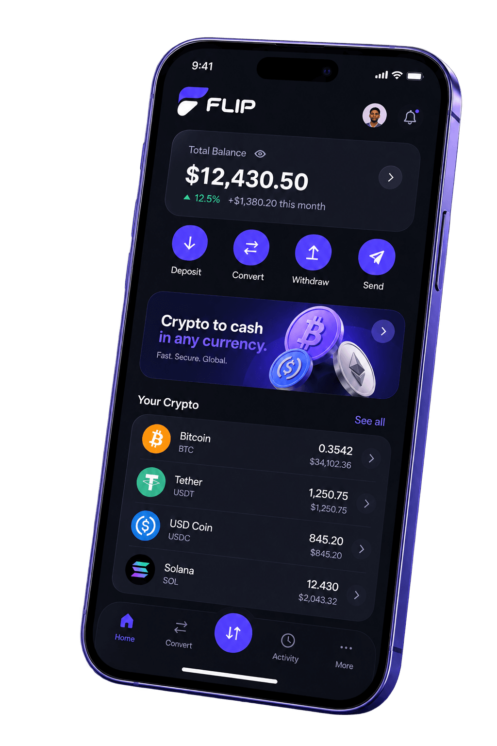 FLIP app balance and conversion preview