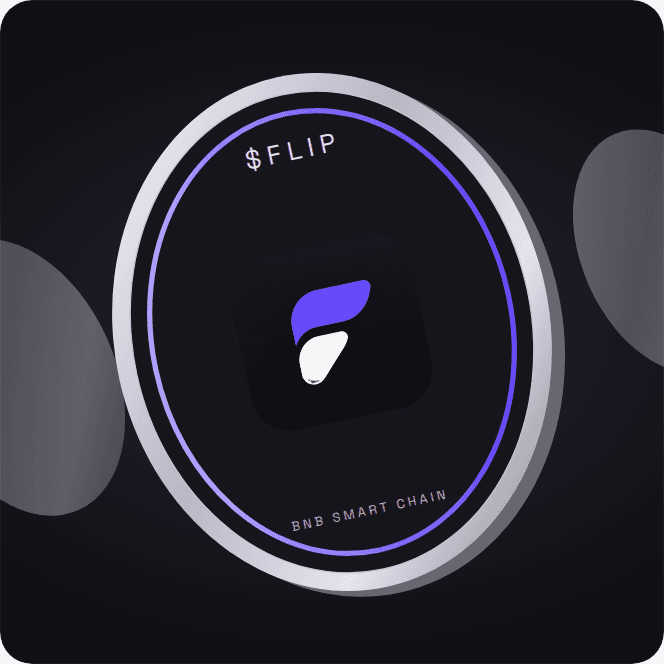 $FLIP Coin BNB Smart Chain Token